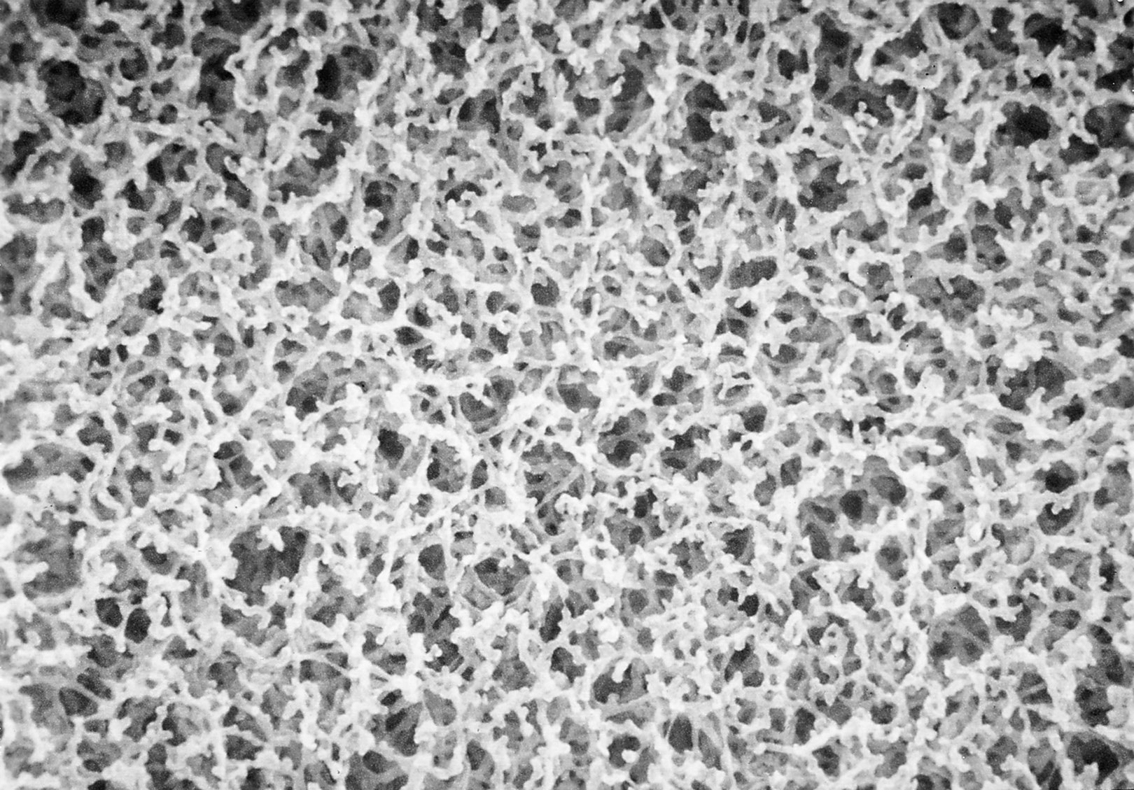 Membrana de ésteres mezclados de nitrocelulosa. GVS. Material: ME. Ø (mm): 47. Tamaño poro (µm): 0,8. Estéril: No. Cuadrícula: Negra. Color: Blanca