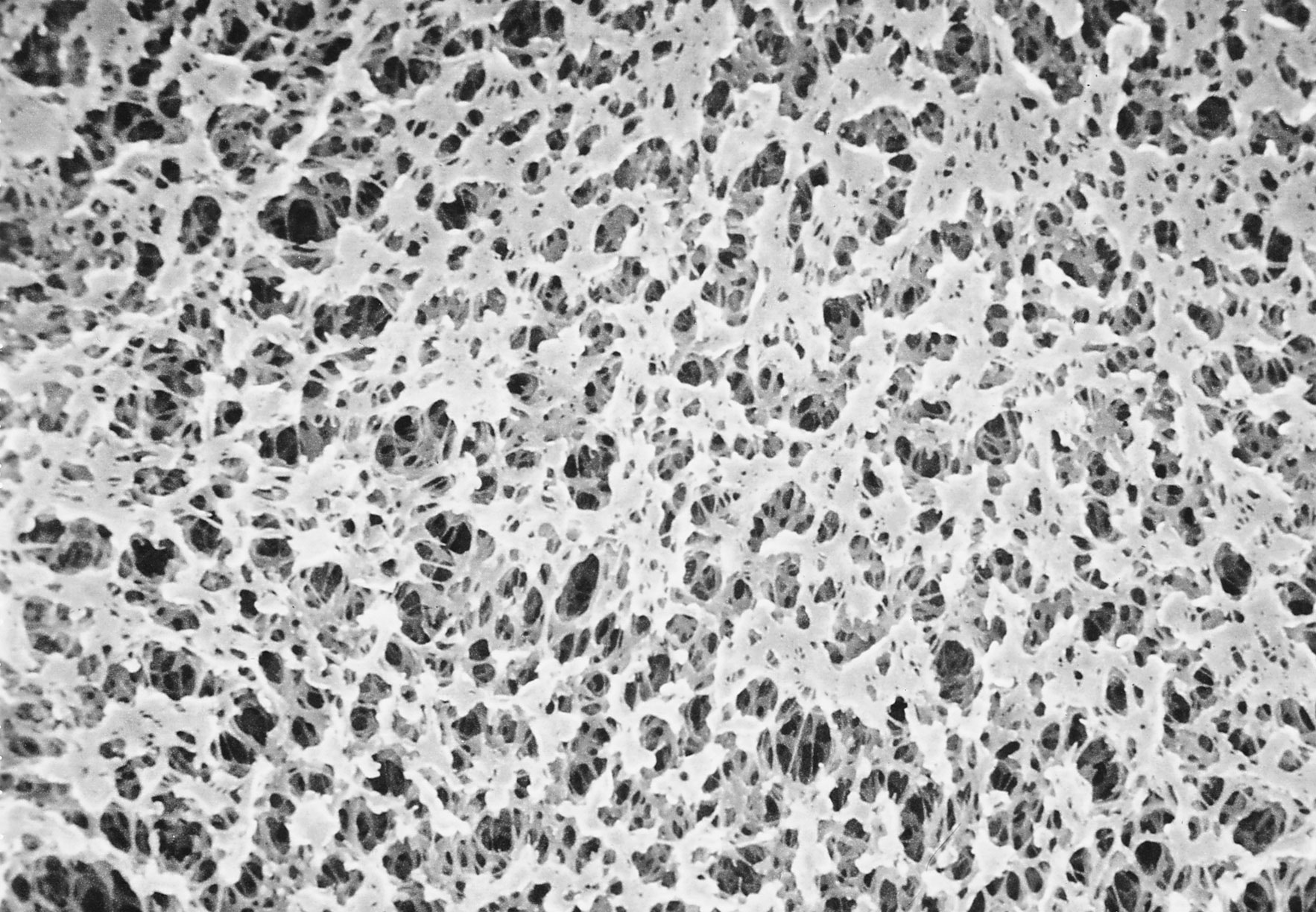 Membrana de polipropileno. GVS. Ø (mm): 47. Tamaño poro (µm): 0,45. Estéril: No. Cuadrícula: No. Color: Blanca