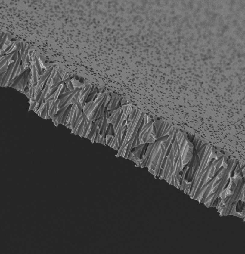 Membrana PCTE, policarbonato. GVS. Ø (mm): 47. Tamaño poro (µm): 0,4. Estéril: No. Cuadrícula: No. Color: Blanca