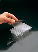 Film sellador para placas PCR&#x0D;&#x0D;