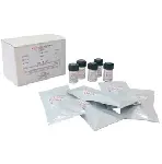 B. cepacea ATCC®  25416 ™. Contiene 5 pellets individualizados en sobre aluminizado y 5 viales de líquido hidratante. (10-100 ufc/0,1ml)