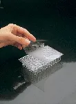 Adhesive sealing film for PCR plates. DELTALAB. Adhesive film