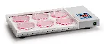 Incubator for Petri dishes. J.P. SELECTA®. Temperature (ºC): 5-60. Ext dim. WxHxD (cm): 45x7x25. Int.dim. WxHxD (cm): 32x2x22. Power (W): 300