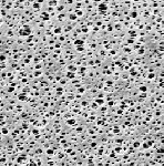 PES Membran;0,2µm;47mm;100pc. Sartorius
