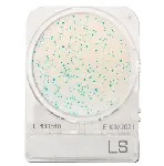 Compact Dry LS (Listeria spp.)