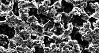 Nylon membrane. GVS.Ø (mm): 47. Porus size (µm): 0,45. Sterile: No. Grid: No. Colour: White