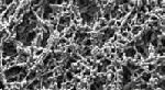 Cellulose Acetate (CA) Membrane AcetatePlusTM. GVS. Material: CA. ø (mm): 25. Pore size (µm): 0,22. Sterile: No. Grid: No. Colour: White
