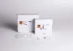 Paper for testing antibiotics. FILTER-LAB. ø (mm): 6