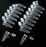 0,2 ml PCR tube in strips, type 2. DELTALAB. Cap type: Flat cap. Colour: Natural