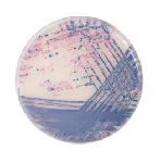 CHROMagar™ Salmonella Plus. Chromogenic medium for the isolation of Salmonella species including lactose positive Salmonella according to ISO 6579-1.