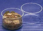 Clear quartz crystallising dishes without spout 100 ml
