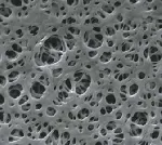 Membrane PES Polyethersulfone 0,22µm. 47 mmø GE-OSMONICS