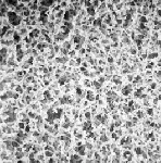 ME membrane, nitrocellulose mixed esters. GVS .Ø (mm): 47. Porus size (µm): 0,22. Sterile: Yes. Grid: Black. Colour: White