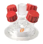 Tapa de vidrio con 5 bocas DN60 - 3xB19, 2xB14. RADLEYS