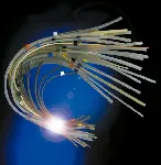 Peristaltic Pump Tubing. SPETEC®. Solvent FLEX  pump tubing 2 brigdes. Colour code: Yellow/Blue. Inner Ø (mm): 1.524. Outer Ø (mm): 3.200. Thickness wall (mm): 0.838
