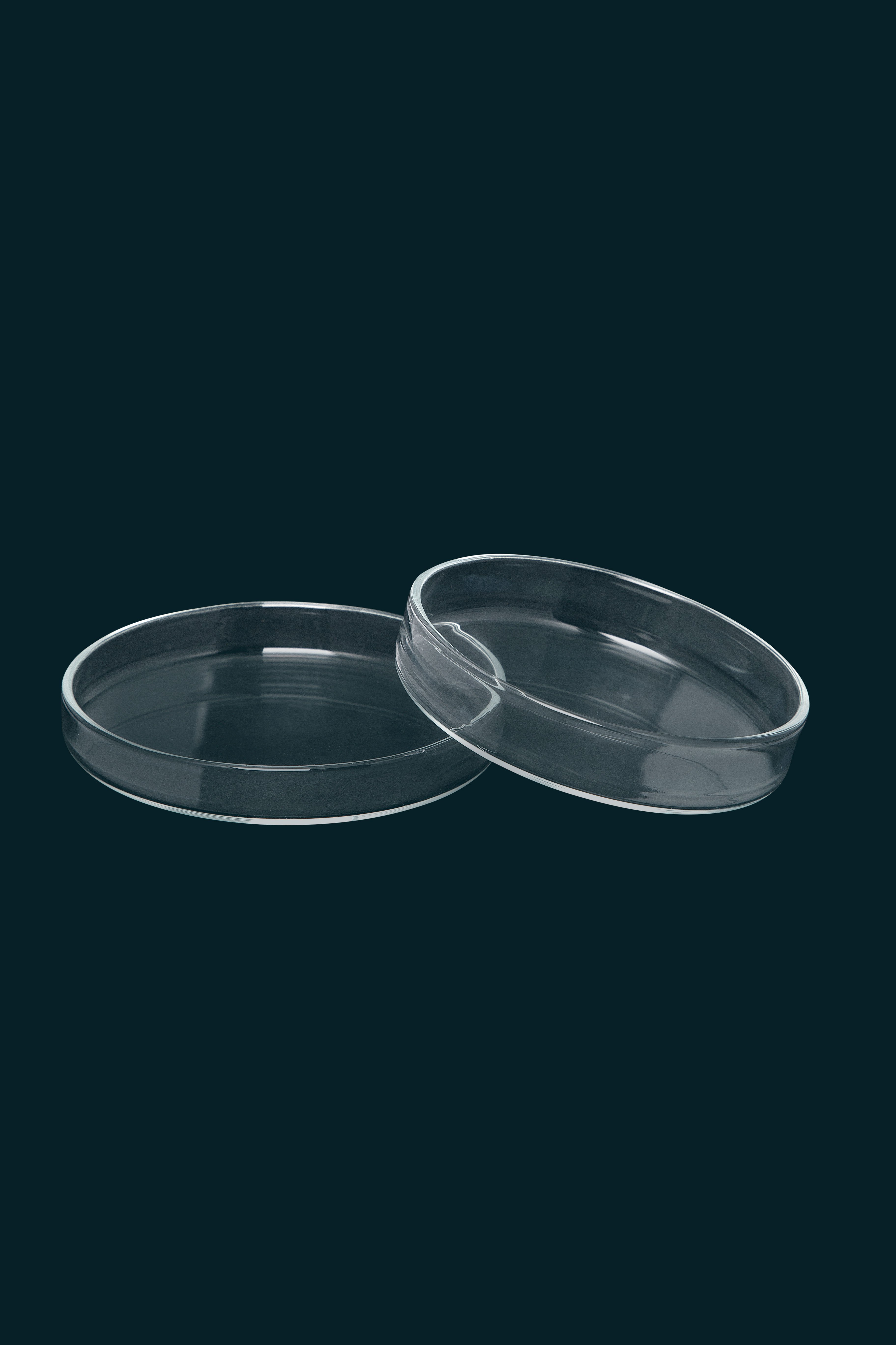 Placa Petri de vidrio de 180 mm Ø X 30 mm