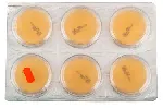 Sabouraud Chloramphenicol Modified Agar  . Contact Plates.