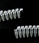 0,2 ml PCR tube in strips, type 1. DELTALAB. Strip of 8 tube and 8 attached caps