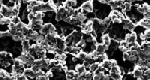 Nylon membrane. GVS.Ø (mm): 47. Porus size (µm): 0,1. Sterile: No. Grid: No. Colour: White