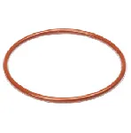 Junta tórica de silicona encapsulada FEP - DN60. RADLEYS