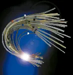 Peristaltic Pump Tubing. SPETEC®. PVC 2 bridges. Colour code: Yellow/Yellow. Ø int. (mm): 1,422. Ø ext. (mm): 3,099. Wall thickness (mm): 0,838