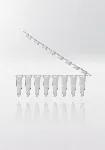 Strips of tubes for PCR. NERBE-PLUS. Capacity (ml): 0,2. Centrif. resist (g): 6000. Cap: Flat. Tube/Cap Colour: Transparent/ Transparent. Sterility: PCR Ready. qPCR: Yes