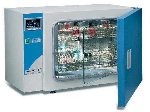 Bacteriological incubator INCUDIGIT-TFT. J.P. SELECTA. T range (ºC): 5 above ambient to 80. Volume (l): 52. Weight (Kg): 46. Doors: 1. Consumption at 37º (W): 275