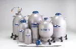 Liquid Nitrogen Dewars - LD Series