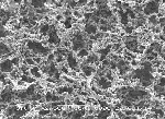 Filtration membranes for microbiology, discs