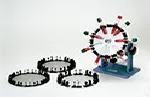 Rotator Orbit