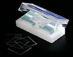 Glass cover slips