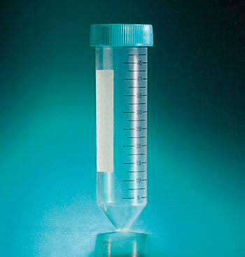 Conical tubes 50ml polypropylene