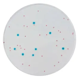 CHROMOGENIC MEDIA CHROMagar™