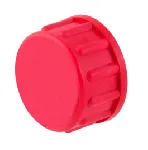 Sealing caps with PTFE disk for screw ground joints