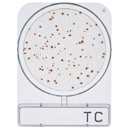 CompactDry™ TC (Total Count)&#x0D;