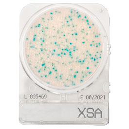 CompactDry™ X-SA for Staphylococcus aureus&#x0D;
