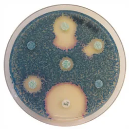 CHROMOGENIC MEDIA CHROMagar™
