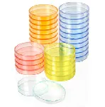 Coloured Petri Dishes