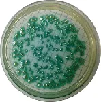 Cetrimide Agar (Eur. Pharm.)