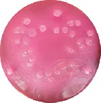 Deoxycholate Lactose Agar