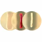 DNase Agar