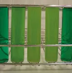 Enrichment Enterobacteriaceae Broth (EE Broth)