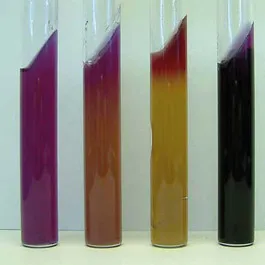 DEHYDRATED AND PREPARED CULTURE MEDIA