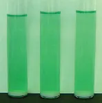 Müller-Kauffmann Tetrathionate Broth Base