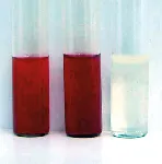 Nitrate Broth