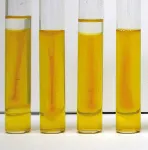 Oxidation-Fermentation Fluid Medium Base (O/F Medium)