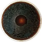Oxford Agar Base