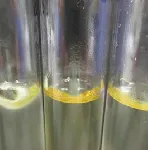 Potato Dextrose Broth