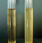 Thioglycollate Broth