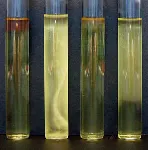 Thioglycollate Fluid Medium